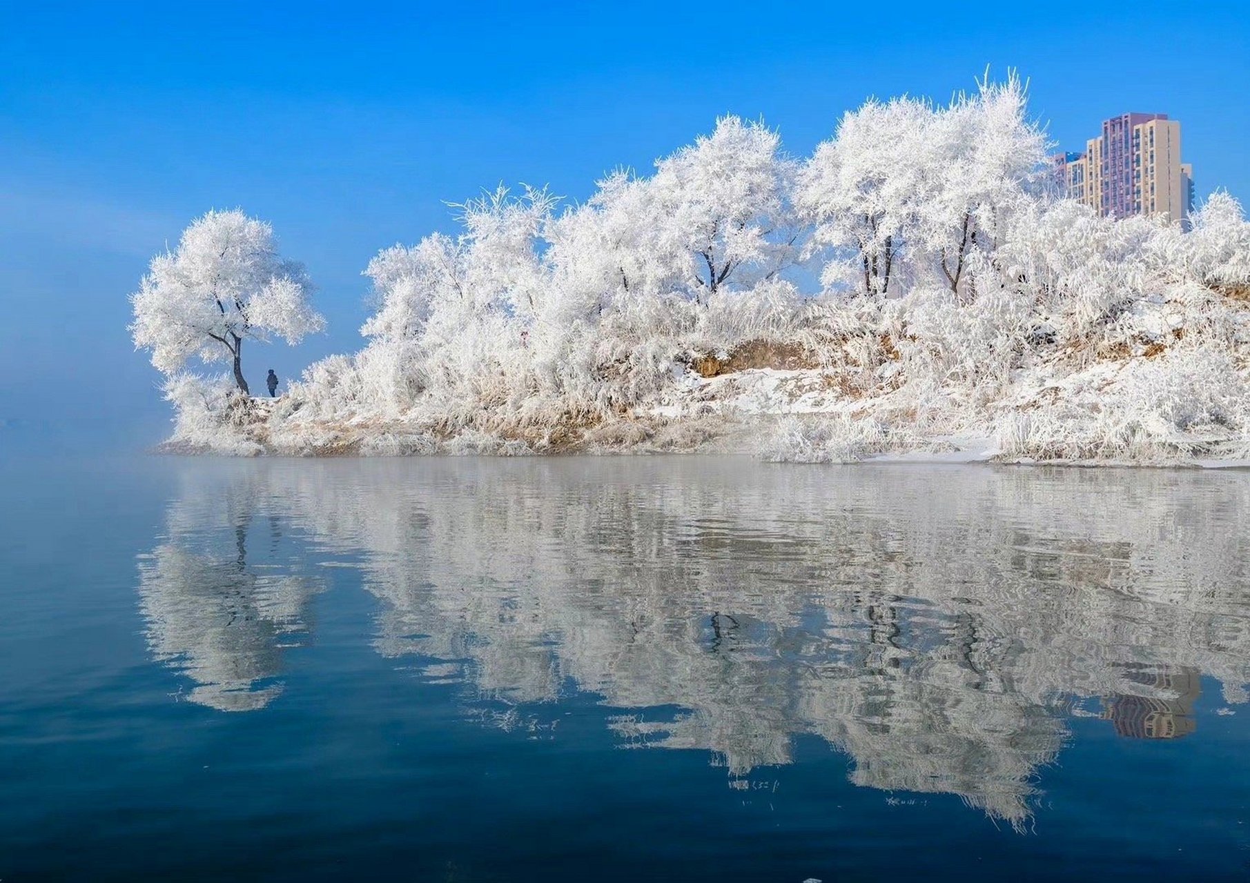 吉林智造新篇章，未来科技产品巡礼
